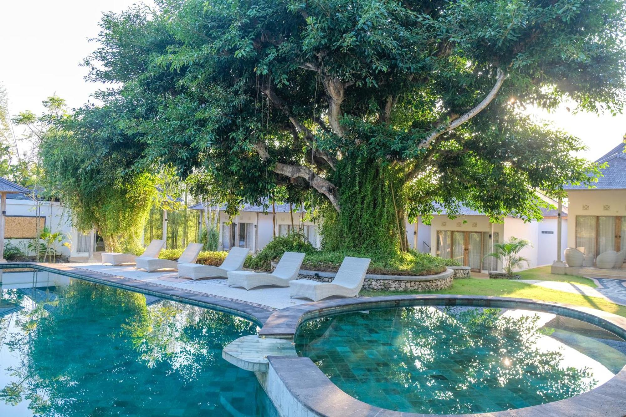 Caspla Resort By Loccal Collection Batununggul Dış mekan fotoğraf